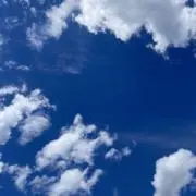 なかたの画像