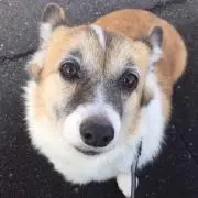 みっちゃんの画像