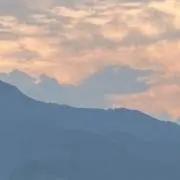 マサの画像