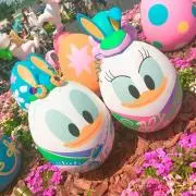 やすくまの画像