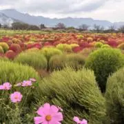 OTの画像