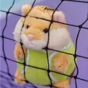 ちゃびんの画像