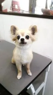 annychanの画像
