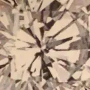 1006の画像