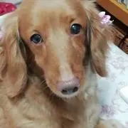 meariの画像