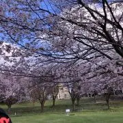 hayaの画像