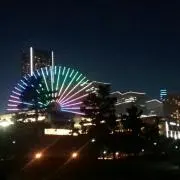 MRの画像