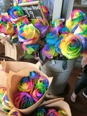 こあの画像