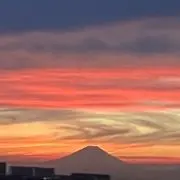きなっこの画像