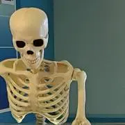 オニヤンマ