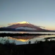しゅんの画像