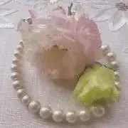 パールの画像
