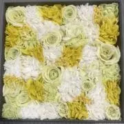 こんこ⭐️お値段交渉お気軽にどうぞ！の画像