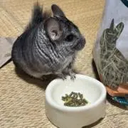 _ mizukiの画像