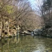reoreo12の画像