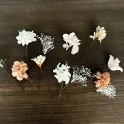 くぼの画像
