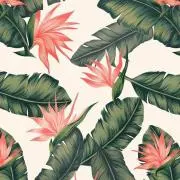 Manoa