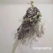 niazmama
