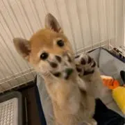 みなみの画像