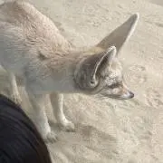 ぬの画像