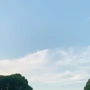 DADAの画像