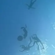 Miiiiiisyaの画像
