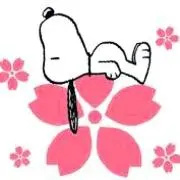 さくら