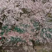 さぼてん☆プロフ有りの画像
