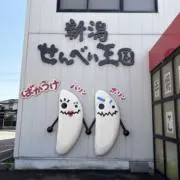 すおんの画像