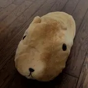 もそもその画像