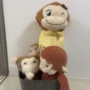 いっちゃんの画像