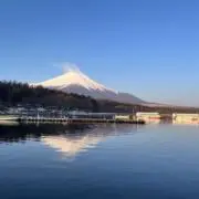 みれふの画像