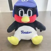ハクの画像