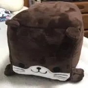 かわうその画像