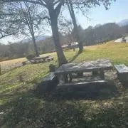 ぱん