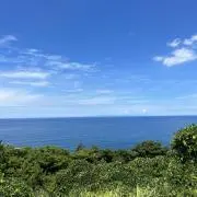 とう
