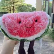 スイカ