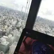 ひ・な※24h以内発送の画像