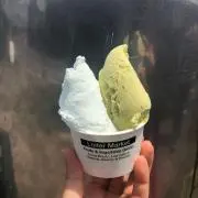 ぽむの画像