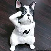 ゴン太の画像