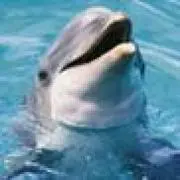 ジョギングシンガーの画像