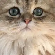 Emi