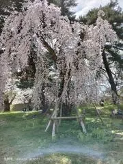 わか