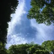 bu_chanの画像