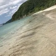 まむ