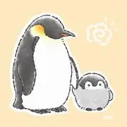 yochiの画像