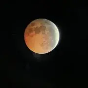 みーの画像