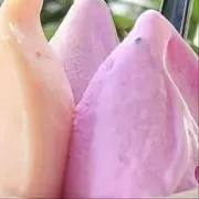 いちご味の画像