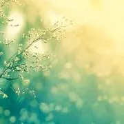 ☆