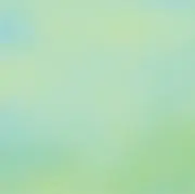 潮花の画像